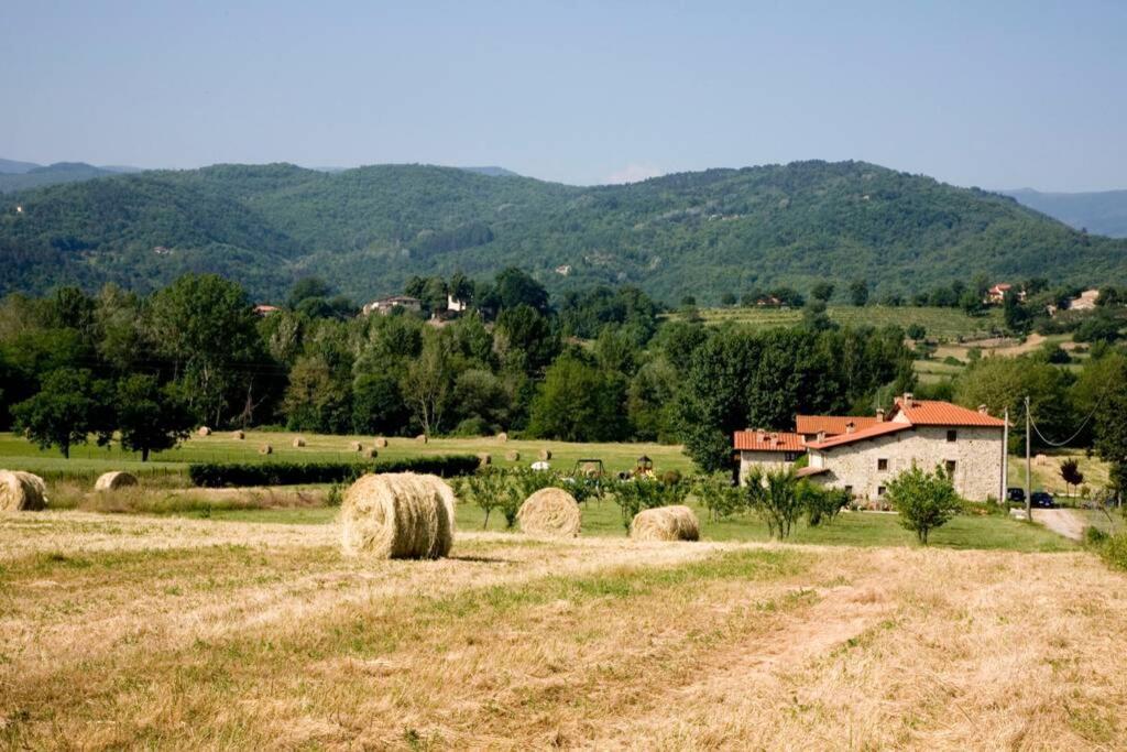 Villino In The Hearth Of Tuscany, Quiet Unforgettable Place. Попи Екстериор снимка